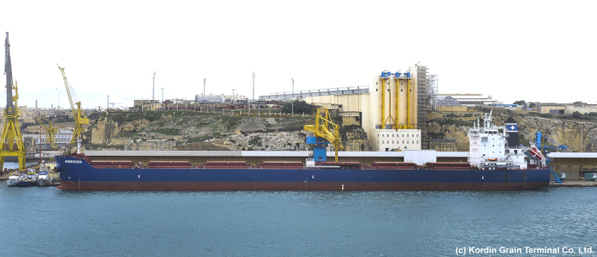 Entladen von 25.000 Tonnen Weizen aus den Kammern der MV Androusa (Durchsatzleistung: bis zu 1.500 Tonnen pro Stunde)